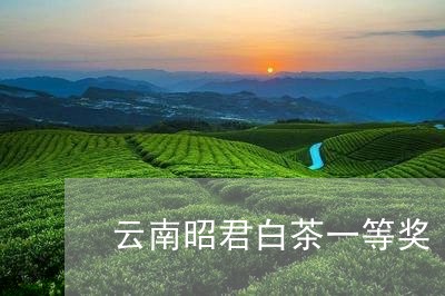 云南昭君白茶一等奖/2023081290493