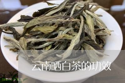 云南晒白茶的功效/2023061497361