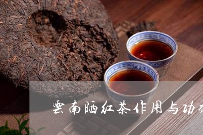 云南晒红茶作用与功效/2023071678351