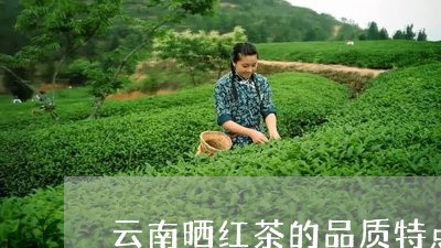 云南晒红茶的品质特点/2023071660682