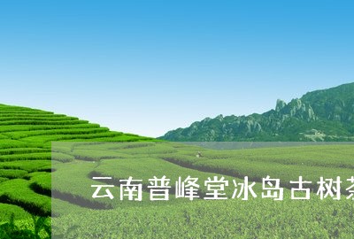 云南普峰堂冰岛古树茶/2023061284150