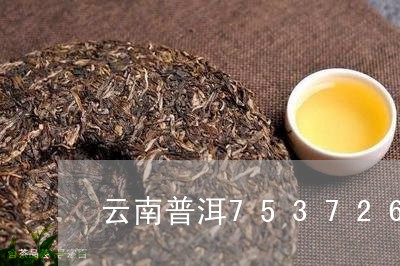 云南普洱7537262普洱茶价钱/2023060380515