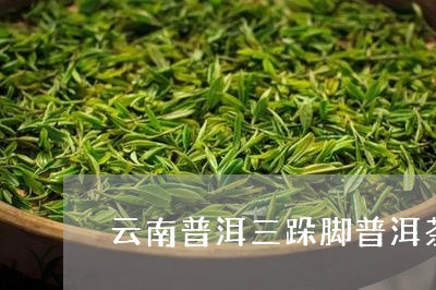 云南普洱三跺脚普洱茶饼老班章生茶/2023060397261