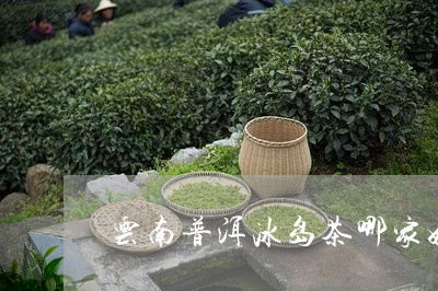 云南普洱冰岛茶哪家好/2023092571704