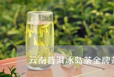 云南普洱冰岛茶金牌茶/2023092548251