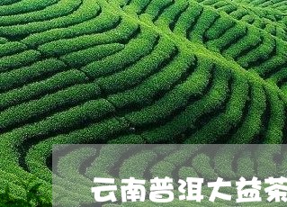 云南普洱大益茶醉春秋普洱茶价格/2023060221615