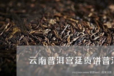 云南普洱宫廷贡饼普洱茶/2023110157369