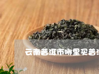 云南普洱市哪里买普洱茶饼/2023082506350