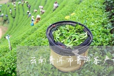 云南普洱市普洱茶产量/2023062806352