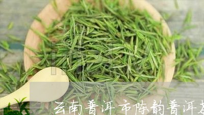 云南普洱市陈韵普洱茶/2023062823927