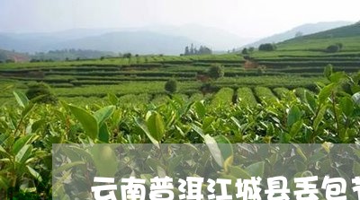 云南普洱江城县丢包节/2023061331372