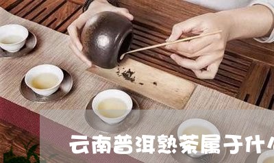 云南普洱熟茶属于什么茶/2023050648514