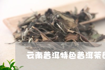 云南普洱特色普洱茶的基本信息/2023053002724