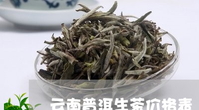 云南普洱生茶价格表/2023042705071