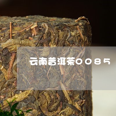 云南普洱茶0085/2023091407360