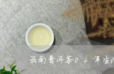 云南普洱茶02年生沱茶/2023120758369