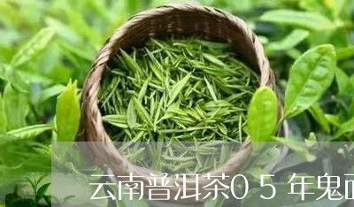 云南普洱茶05年鬼面蓝/2023120791493