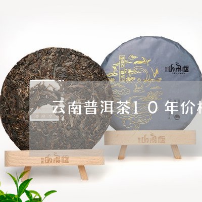 云南普洱茶10年价格/2023062318281