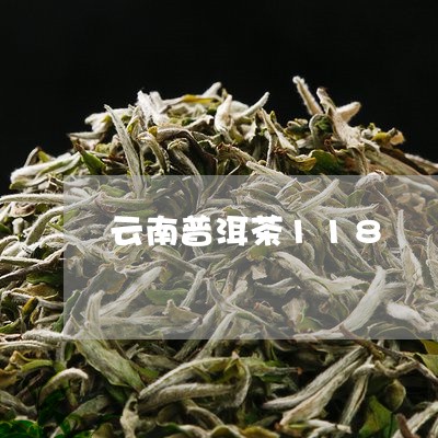 云南普洱茶118/2023101679795