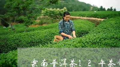 云南普洱茶12年茶饼/2023080366383