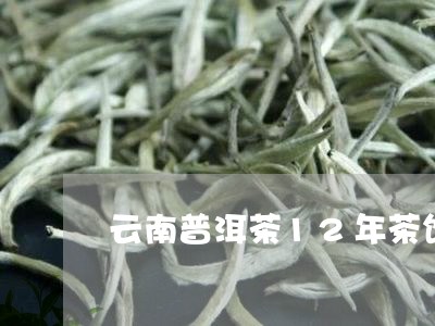 云南普洱茶12年茶饼/2023100709469