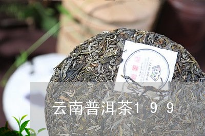 云南普洱茶199/2023120462703