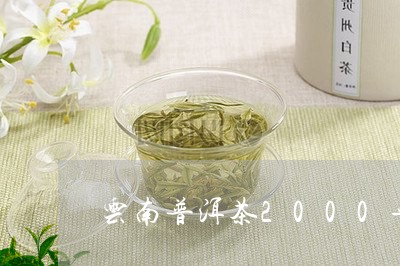 云南普洱茶2000年/2023100754959