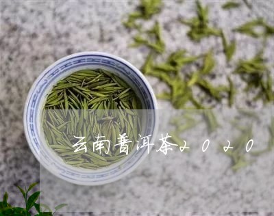 云南普洱茶2020/2023091441616