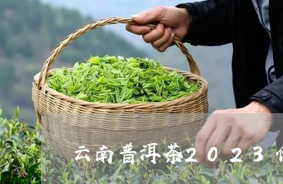 云南普洱茶2023价格/2023120799583