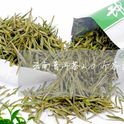 云南普洱茶20个茶区/2023080315269