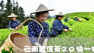 云南普洱茶20快一板/2023092684169