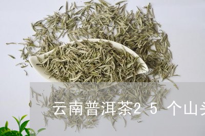 云南普洱茶25个山头/2023062456939