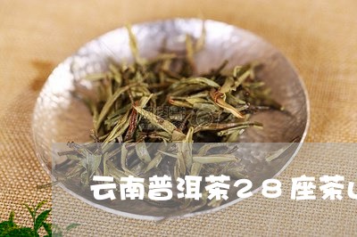 云南普洱茶28座茶山/2023100506674