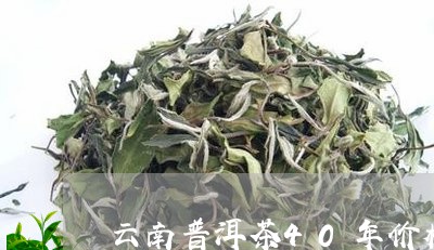 云南普洱茶40年价格/2023062758584