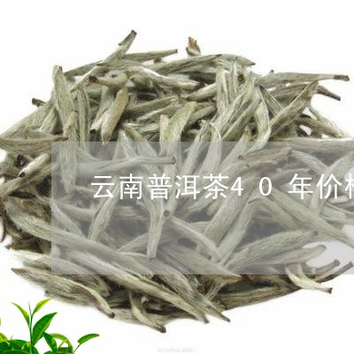 云南普洱茶40年价格/2023080339695