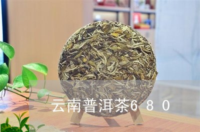 云南普洱茶680/2023120425179