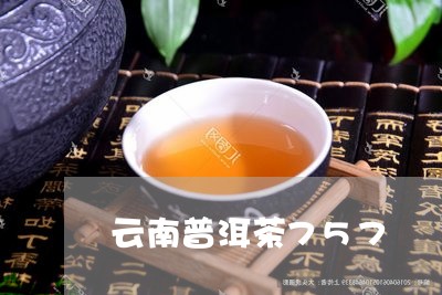 云南普洱茶757/2023101616058