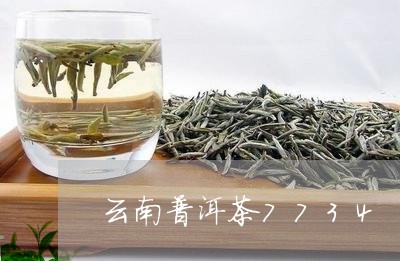 云南普洱茶7734/2023062893036