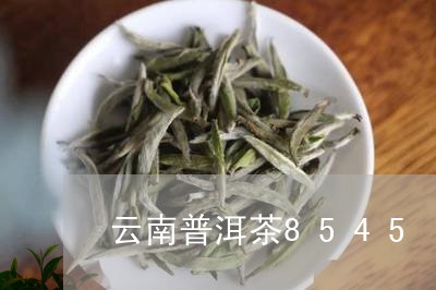 云南普洱茶8545/2023071056048