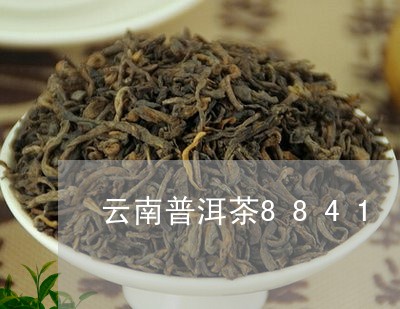 云南普洱茶8841/2023070965827