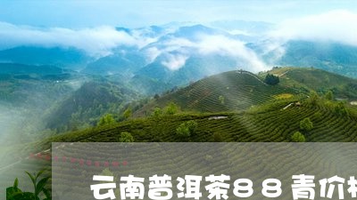 云南普洱茶88青价格/2023100814836