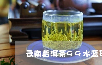 云南普洱茶99水蓝印/2023100604048