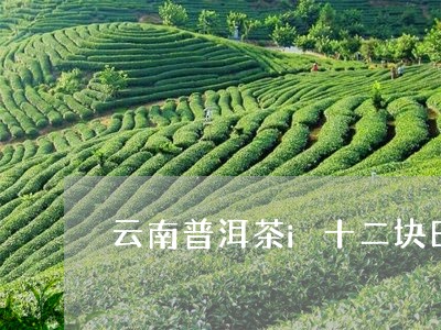 云南普洱茶i十二块田/2023061674737