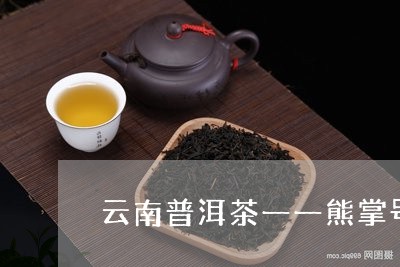 云南普洱茶一一熊掌号/2023080117279