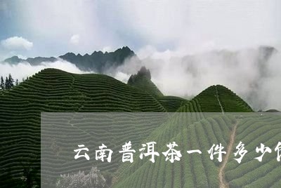 云南普洱茶一件多少饼/2023061485169