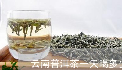 云南普洱茶一天喝多少/2023061619794