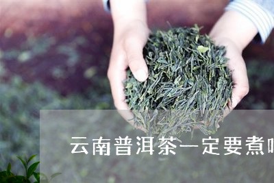 云南普洱茶一定要煮吗/2023061673957