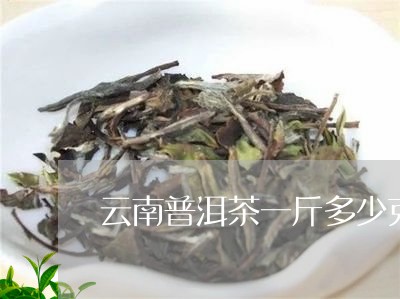 云南普洱茶一斤多少克茶叶/2023110556068