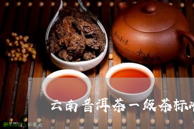 云南普洱茶一级茶标准/2023062233283