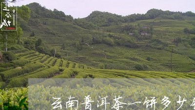 云南普洱茶一饼多少钱大概/2023110257372